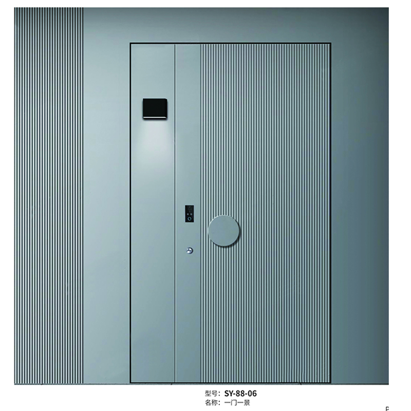 SY-88-06
