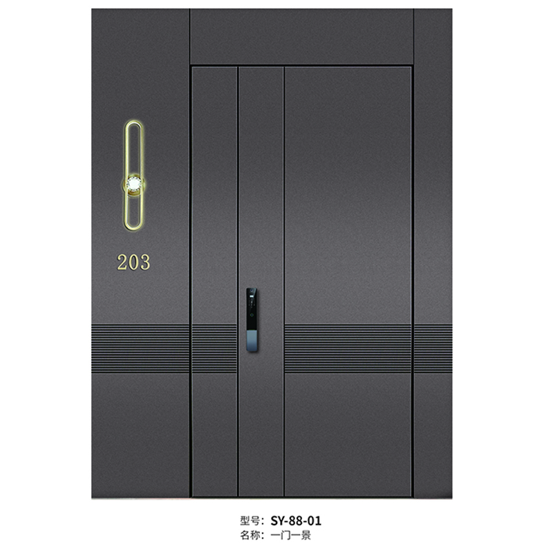 SY-88-01